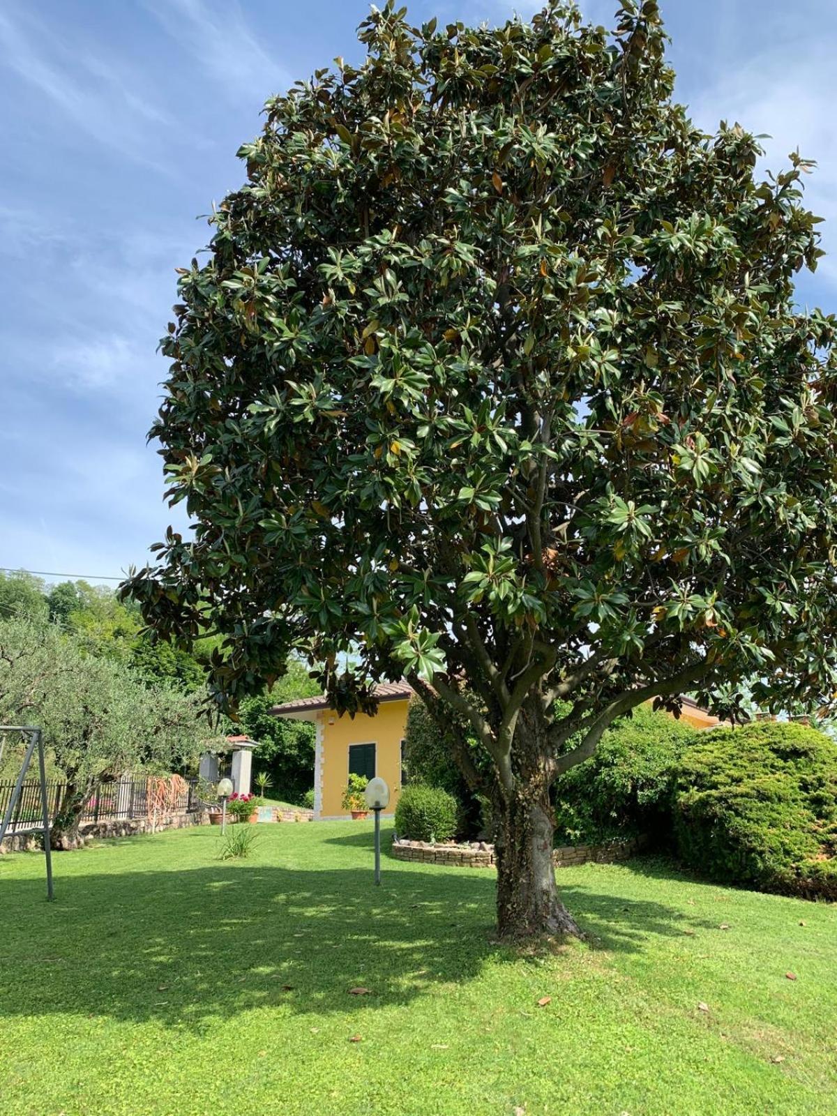 Poli Villa'S Apartment Bardolino Exteriér fotografie